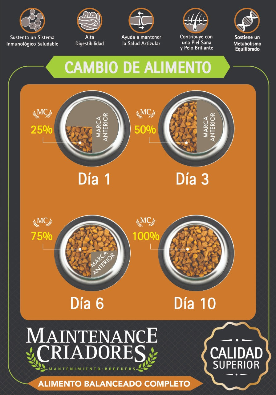 Maintenance Criadores De Cachorro