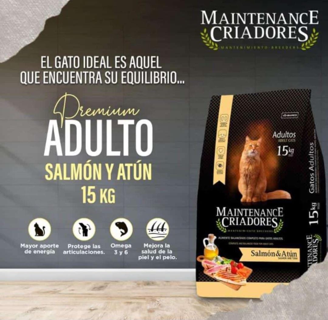 Maintenance Criadores Gato Adulto