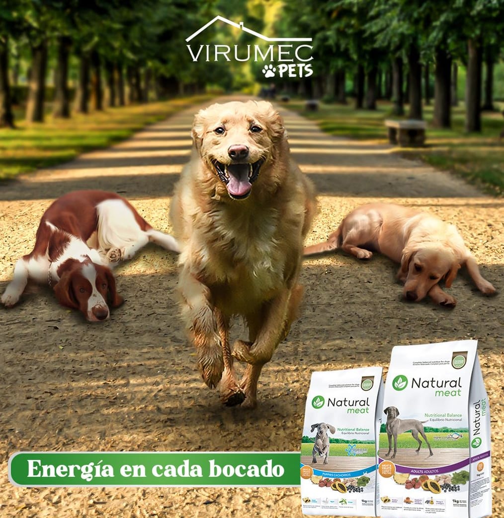 Natural Meat Cachorro