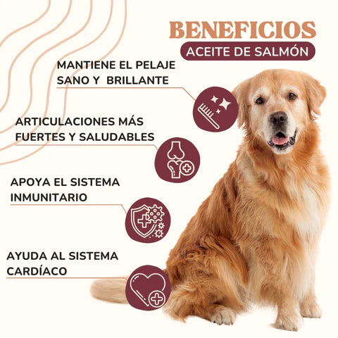 BRAVERY Skin & Hair (Aceite de salmón)