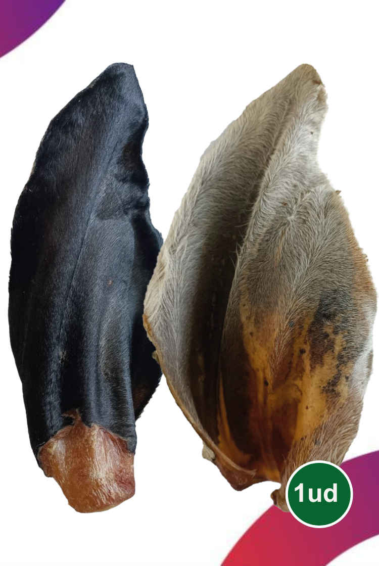 Oreja De Res