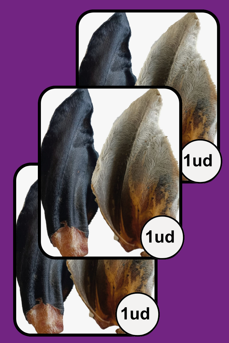 Oreja De Res