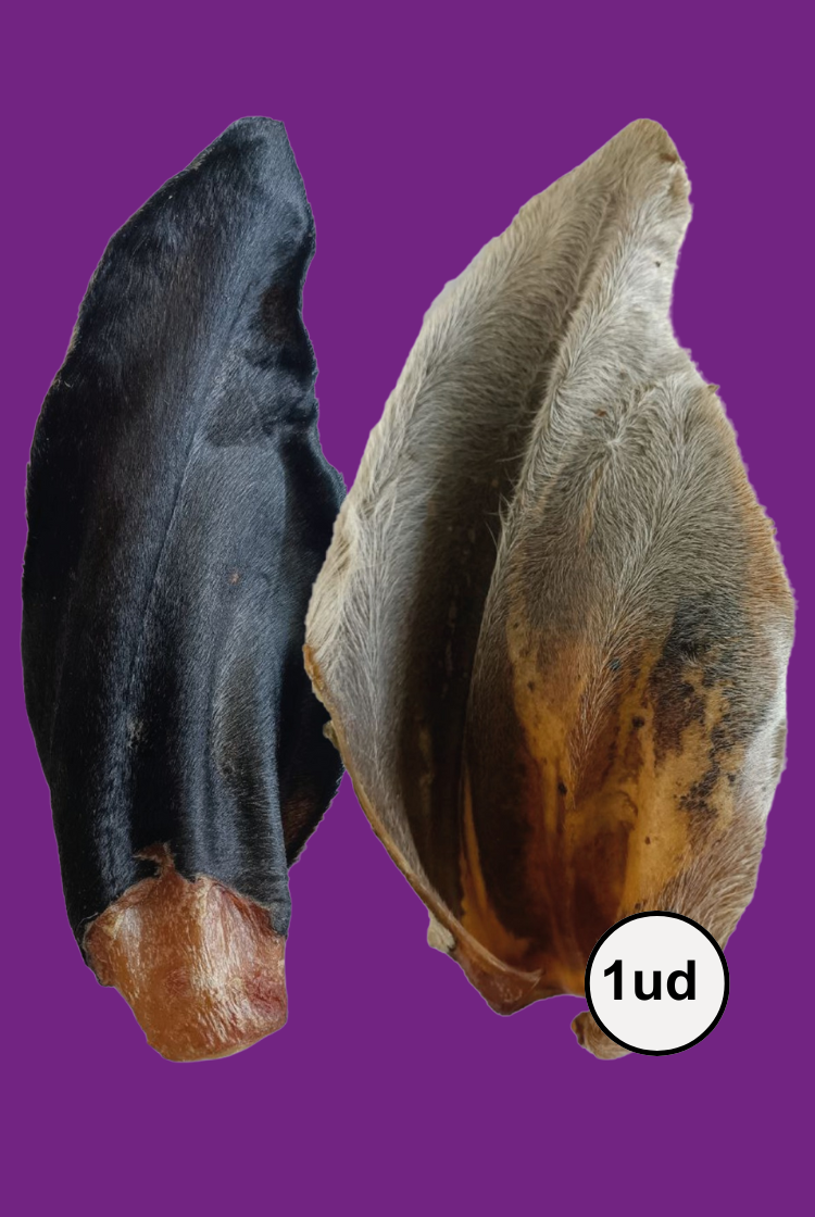 Oreja De Res