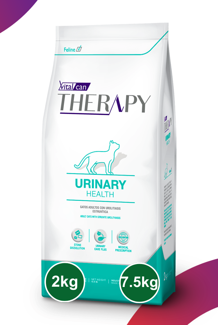 Therapy Urinary Health Gato