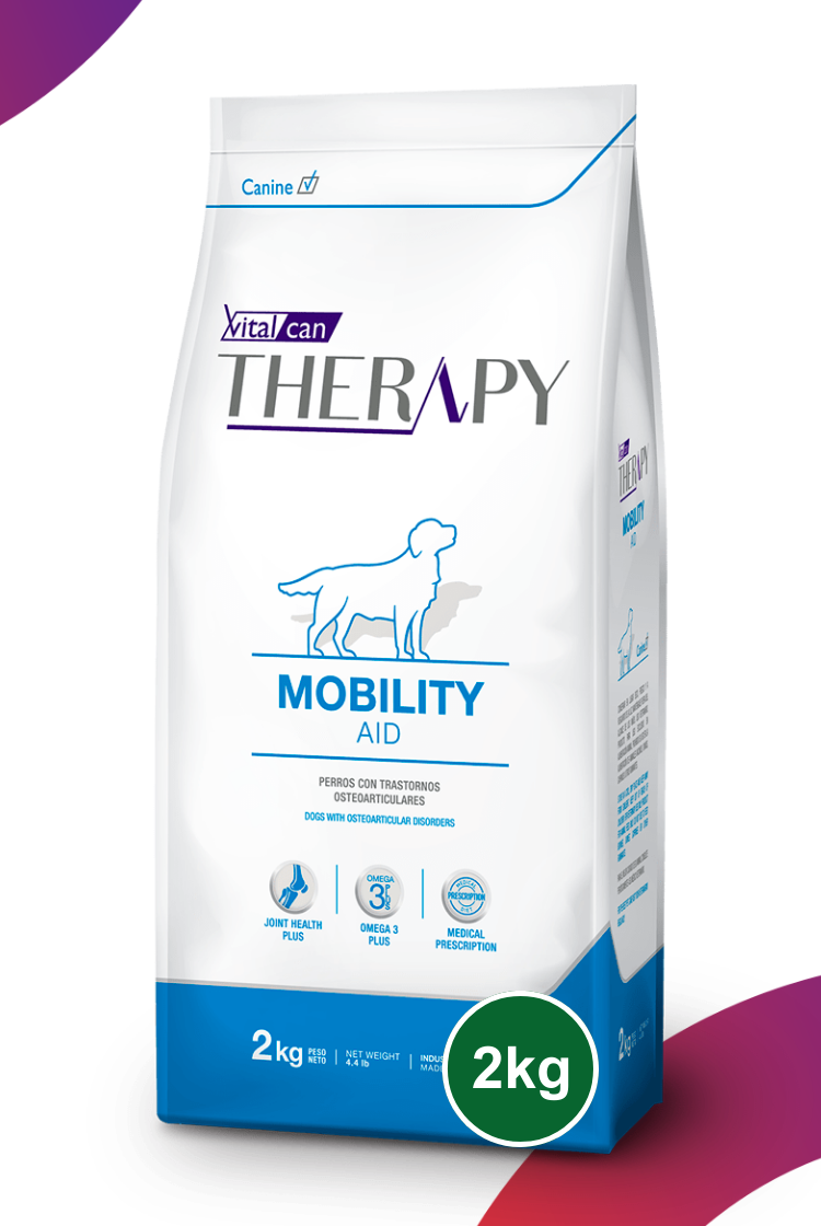 Therapy Mobility Aid Perro