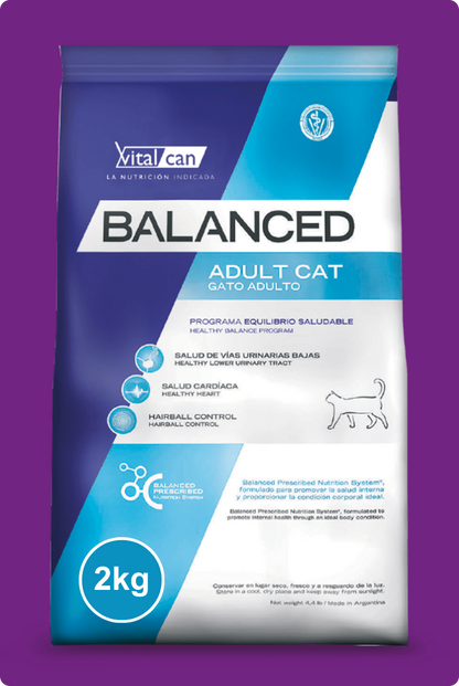 Balanced Adulto Gato