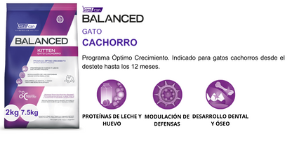 Balanced Gato Cachorro