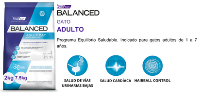 Balanced Adulto Gato