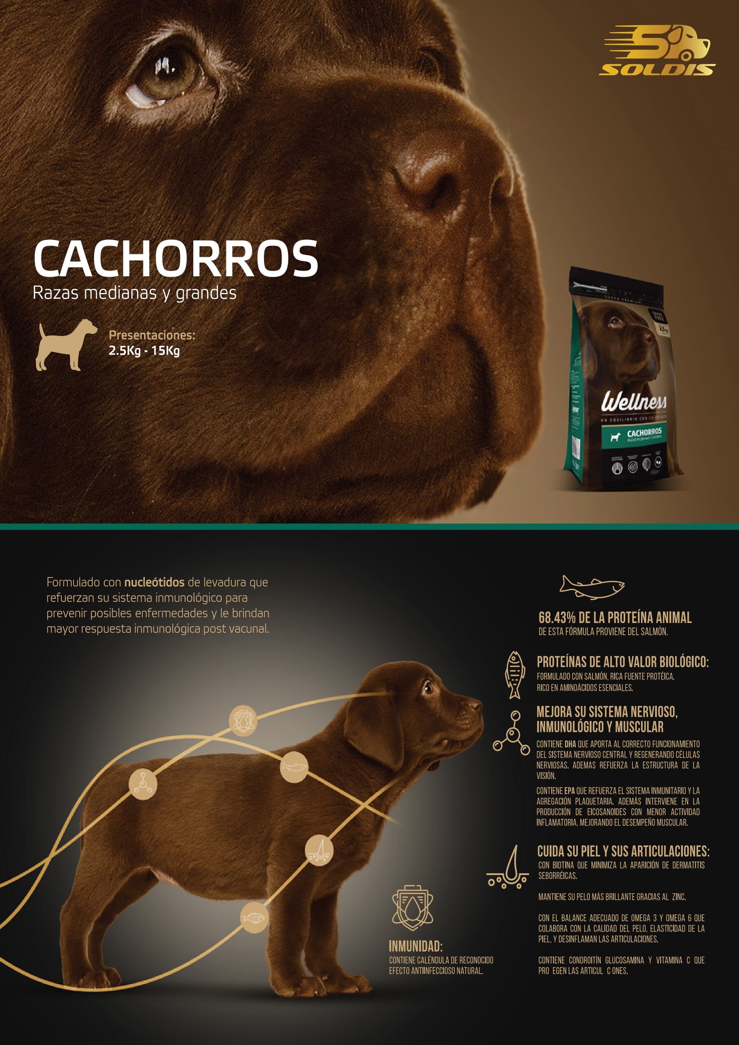 Wellness Cachorros Razas Medianas y Grandes