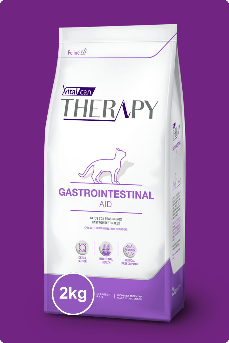 Therapy Gastrointestinal Aid Gato