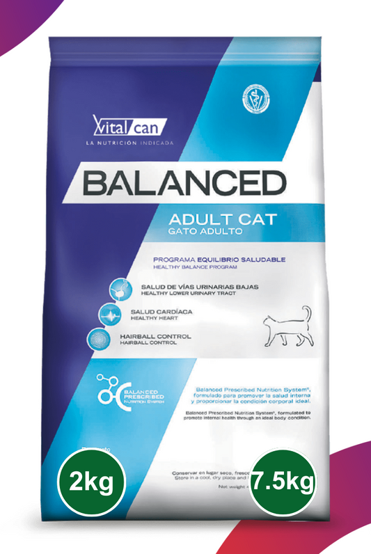 Balanced Adulto Gato