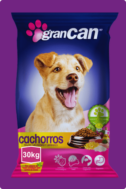 Gran Can Cachorros Razas Medianas y Gandes