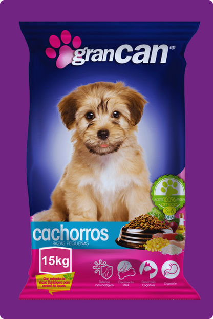 Gran Can Cachorros Razas Pequeñas