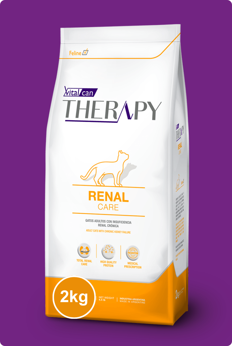 Therapy Renal Care Gato