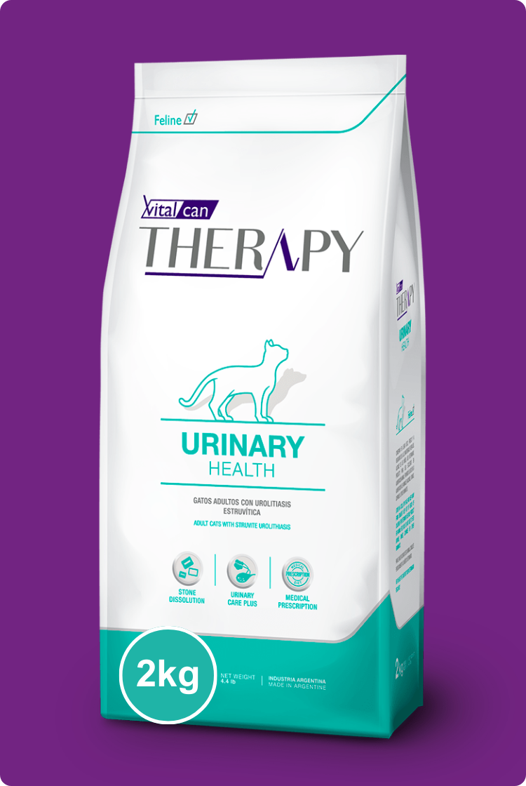 Therapy Urinary Health Gato