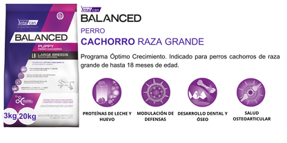 Balanced Perro Cachorros Razas Grandes