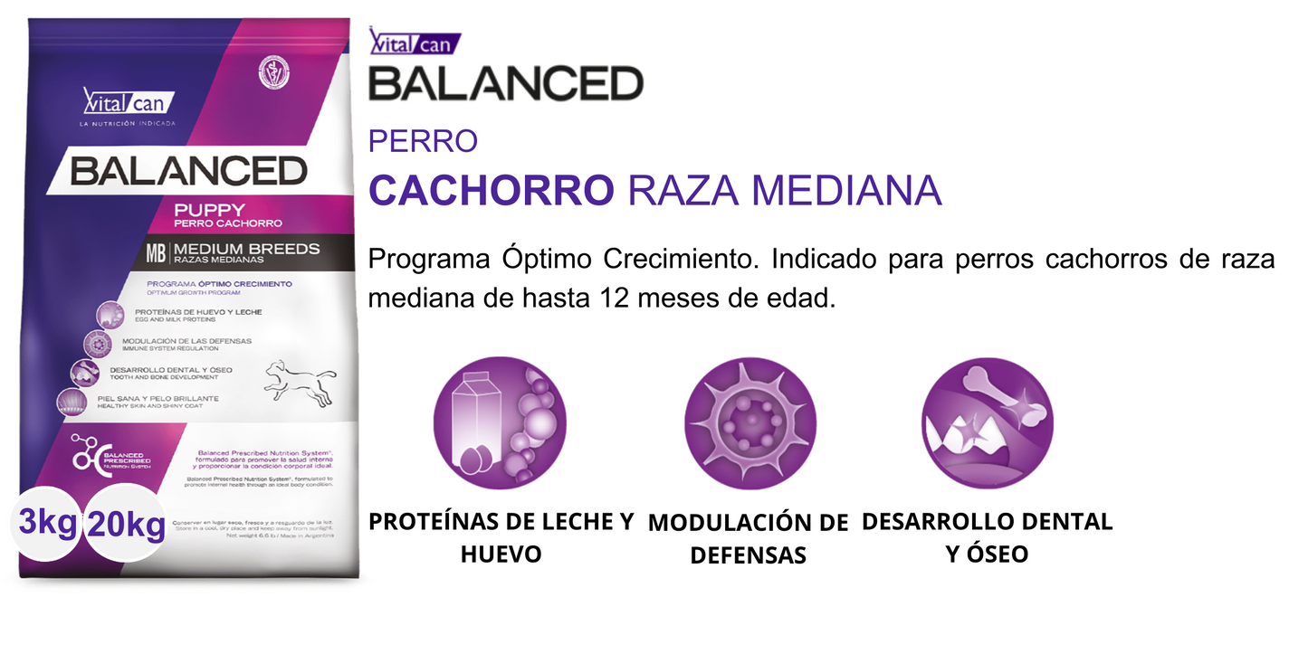 Balanced Perro Cachorros Razas Medianas