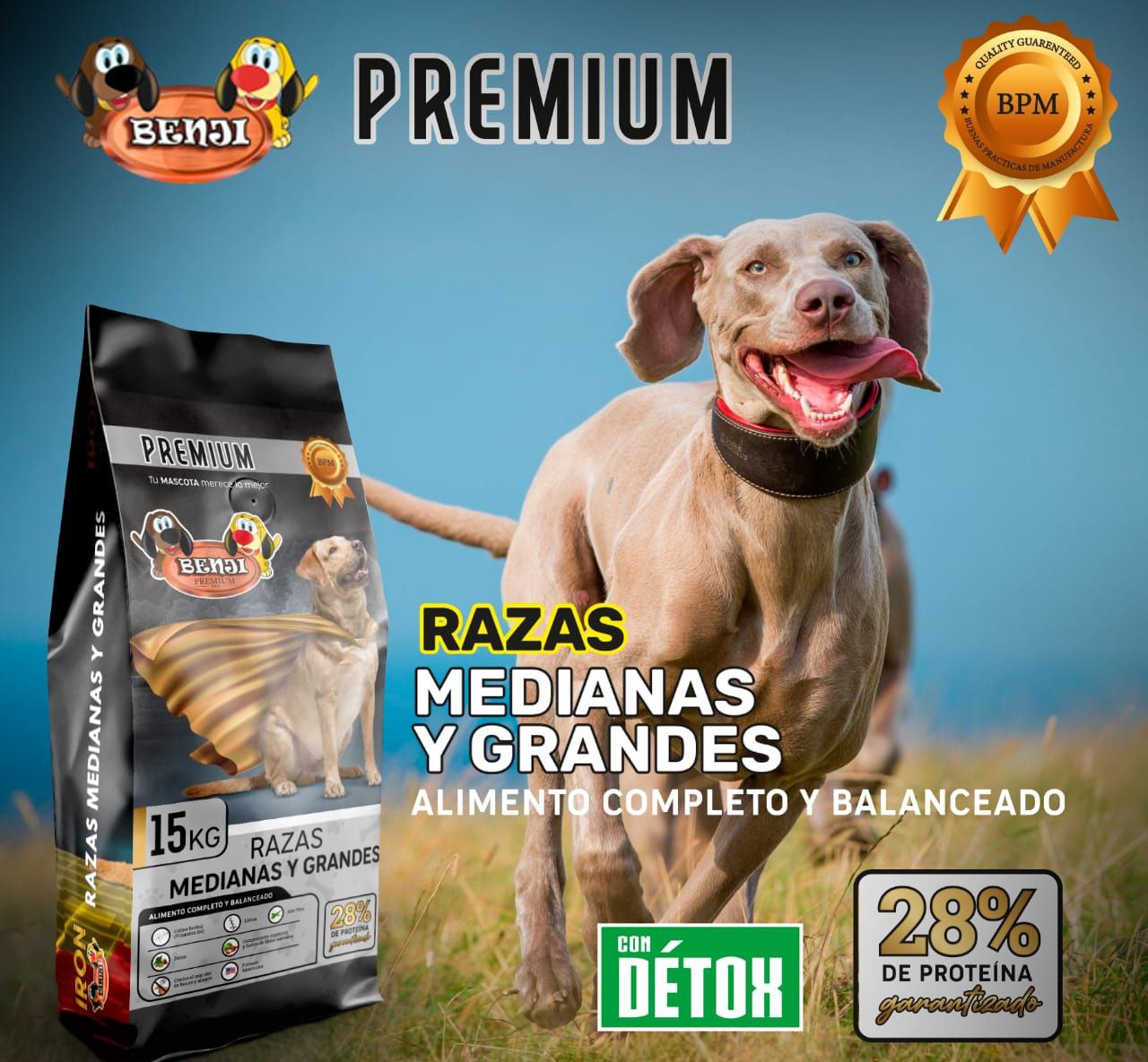 Benji Premium 28% De Proteina Razas Medianas y Grandes