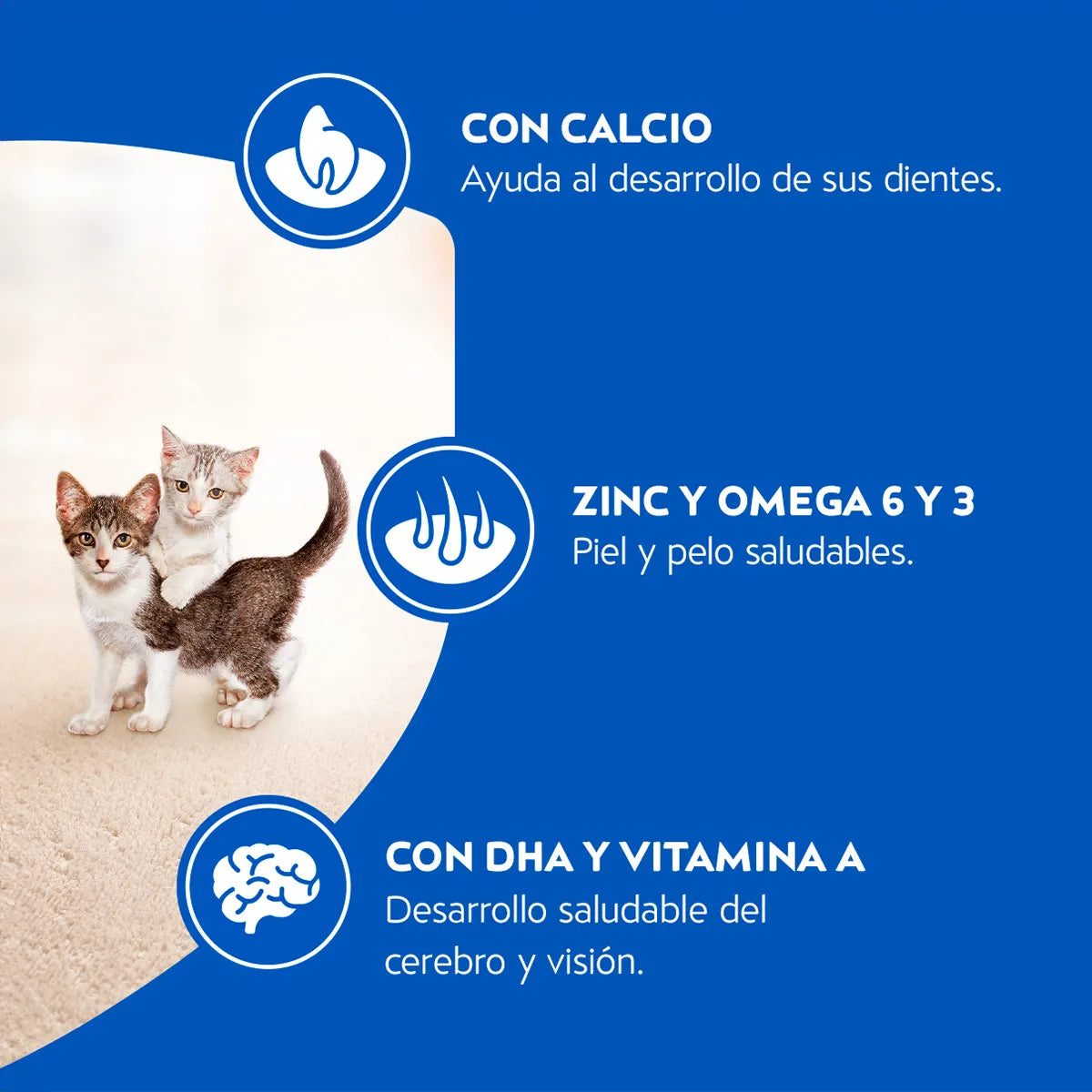 Cat Chow Gatitos De 1 Hasta 12 Meses Sabor Pescado, carne y Leche