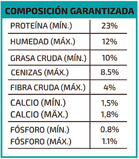 Güerpo Experience Edad Avanzada Todas Las Razas