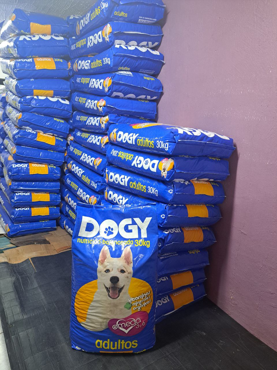 Dogy Adultos