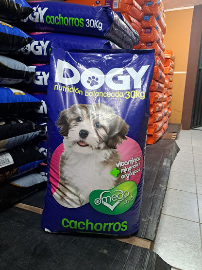 Dogy Cachorros