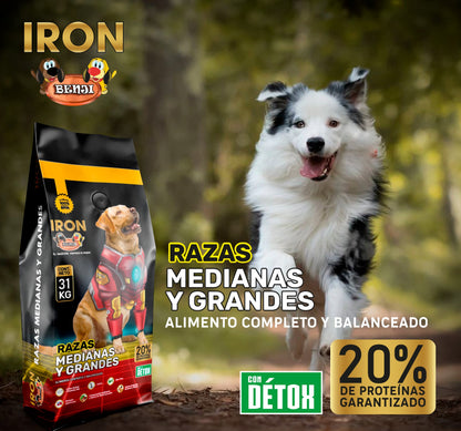 Iron Benji 20% De Proteinas Razas Medianas y Grandes