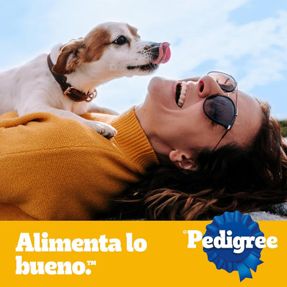 Pedigree Adulto Razas Pequeñas y Minis Con Res y Vegetales