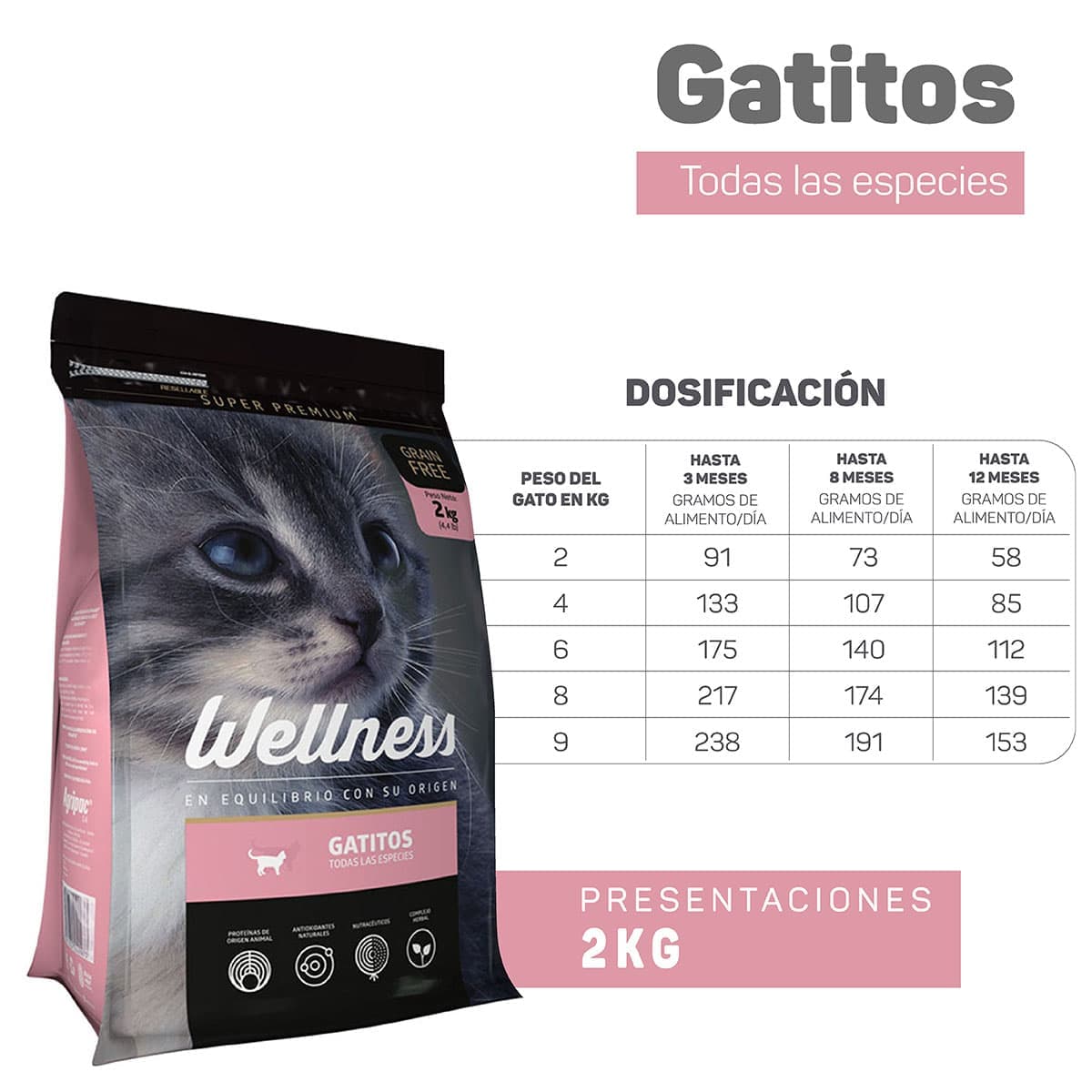 Wellness Gatitos Todas Las Especies