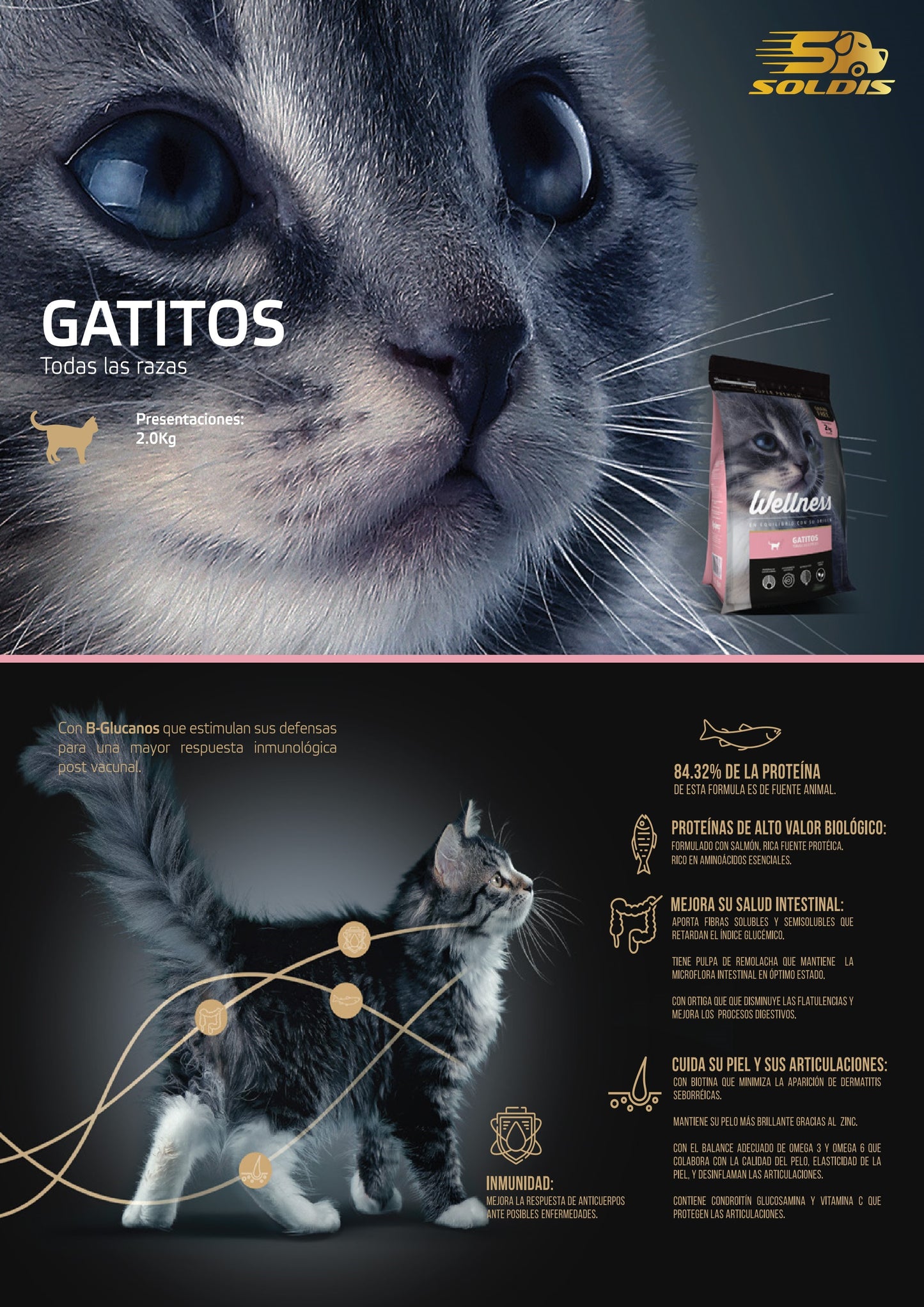 Wellness Gatitos Todas Las Especies