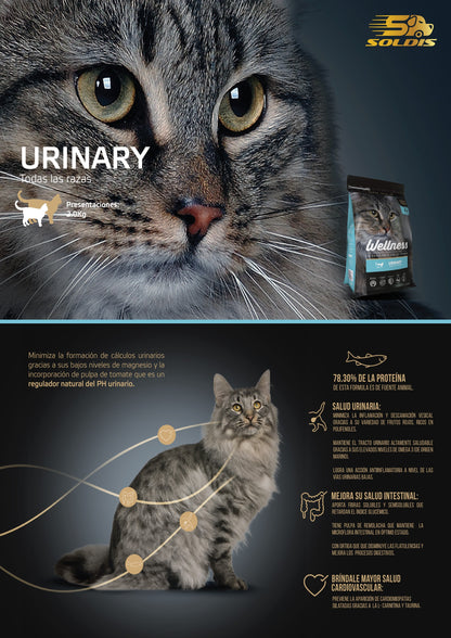 Wellness Gato Urinary Todas Las Especies