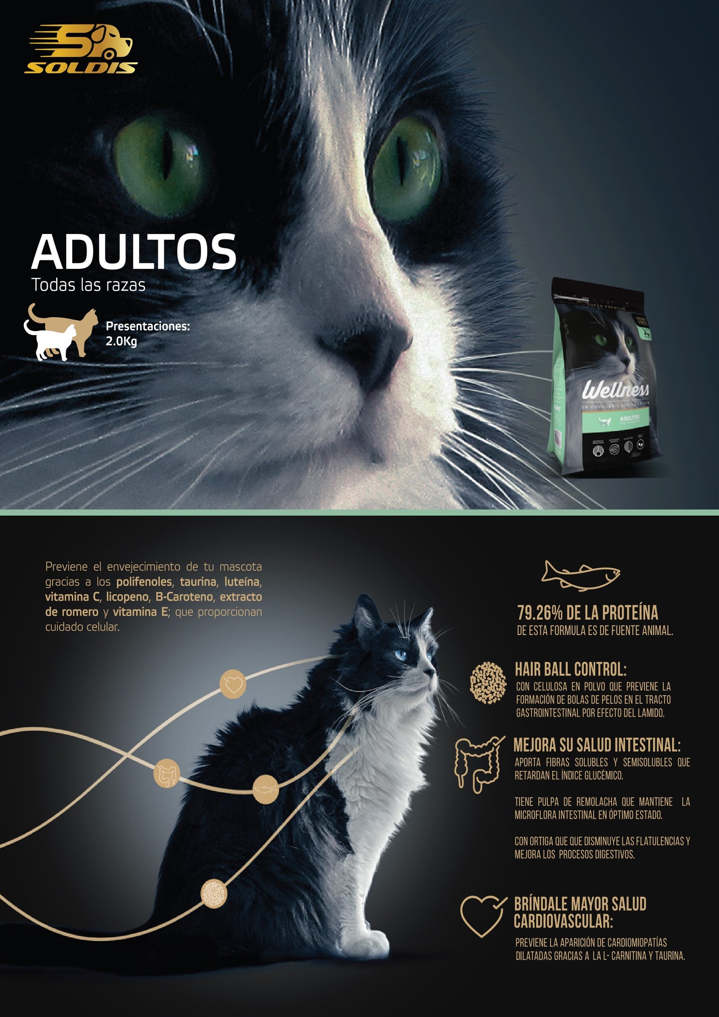 Wellness Gatos Adultos Todas Las Razas