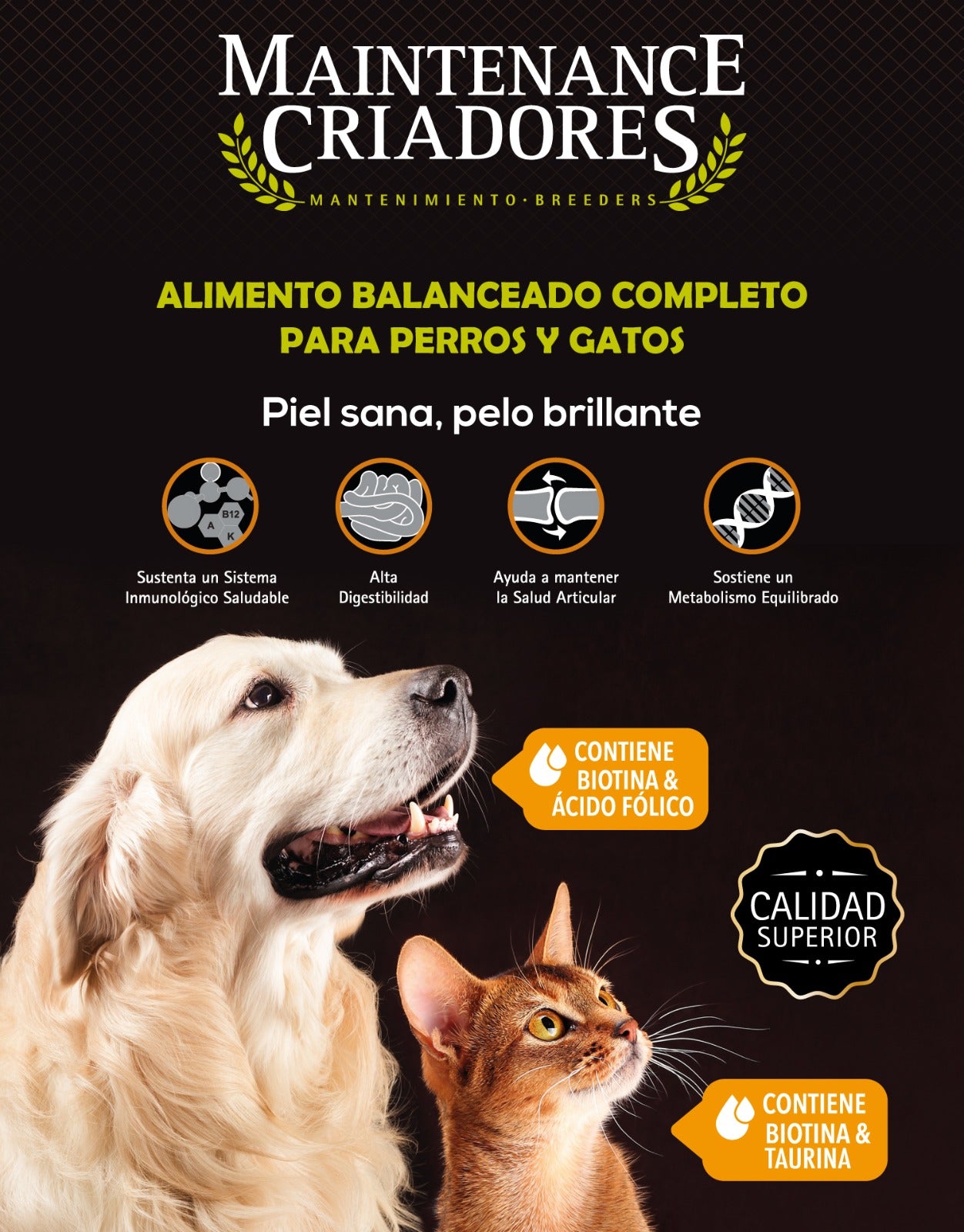 Maintenance Criadores De Cachorro