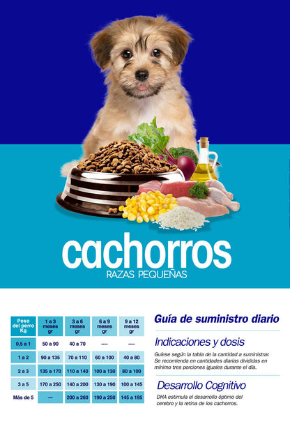 Gran Can Cachorros Razas Pequeñas