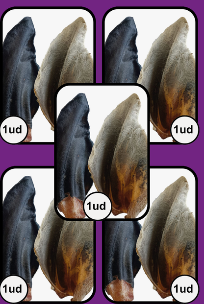 Oreja De Res